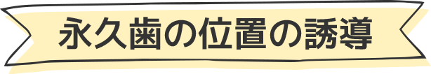 永久歯の位置の誘導