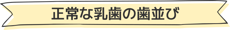 正常な乳歯の歯並び